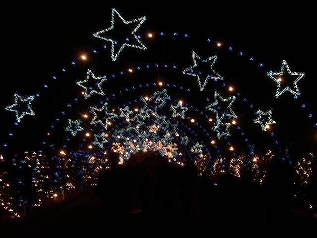 2005/12(Dec)/01(Christmas-Lights)/02(AustinTrail Lights)/640x480_2005-12-22-30.JPG